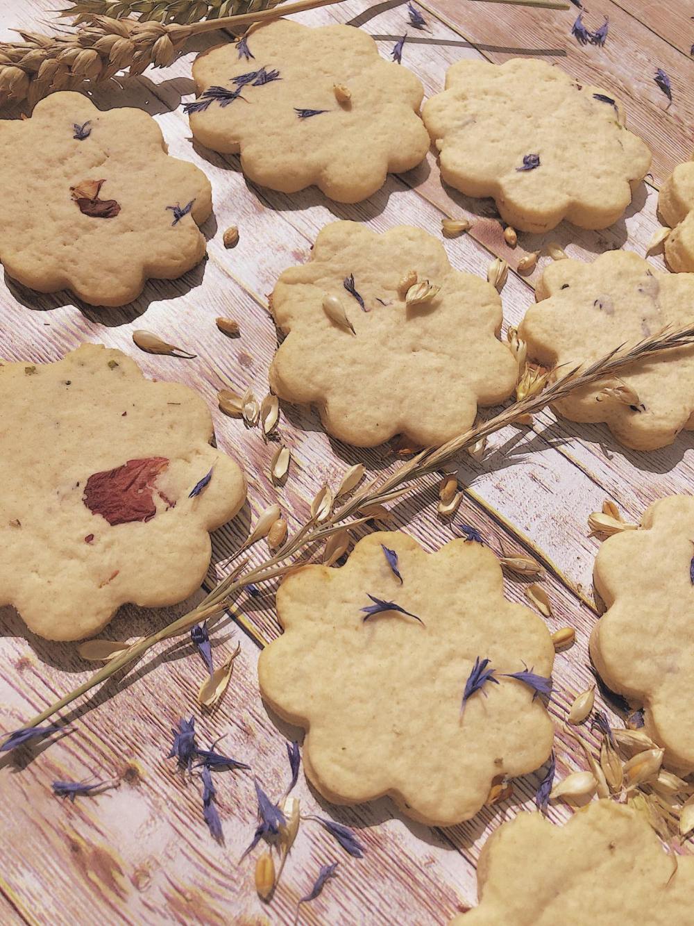 67612542_496769561130670_8784106210866495488_n